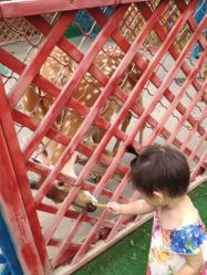 -萌宠亲子动物乐园(槐房万达店)