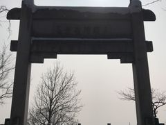 -紫金山山顶公园