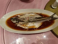 清蒸江白鱼-品大三·南京菜(大行宫店)