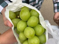 -一兰拉面(梅田阪急东通店)