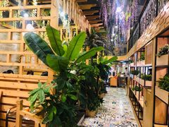 -四季合味椰子鸡(南山大冲店)