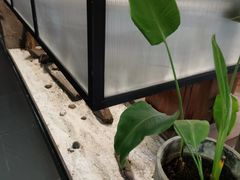 -VESH COFFEE(定西路店)