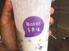 -一只酸奶牛(八一路店)