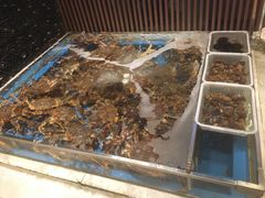 -蟹将军·松叶蟹和牛日料放题自助(K11店)