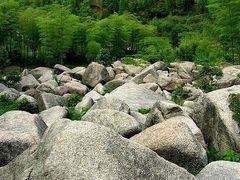 -山沟沟景区