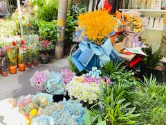 -循礼门鲜花花市(武汉循礼门店)