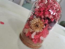 -弗蕾亚·和月月子调理院(东湖店)