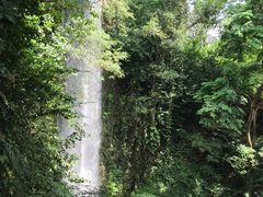 -新加坡飞禽公园