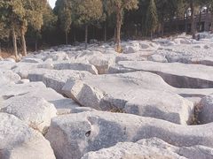 -原山国家森林公园