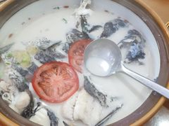 -全乐鱼馆·淳牌有机鱼直营店