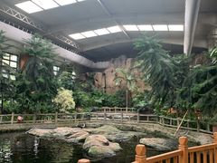 -南宫五洲植物乐园