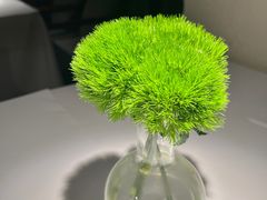 -月芽·自由餐厅·西溪湿地餐厅