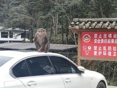 -西岭雪山大飞水景区