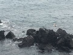 -龙头岩(Dragon Head Rock)