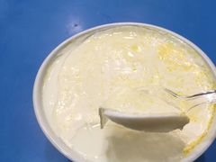 -德禄酸奶(莫家街店)