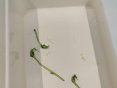 -海底捞火锅(锦艺城店)