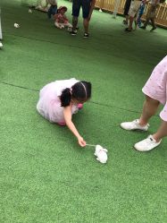 -萌宠亲子动物乐园(槐房万达店)