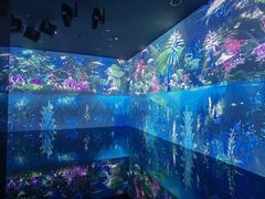 -中国湿地博物馆