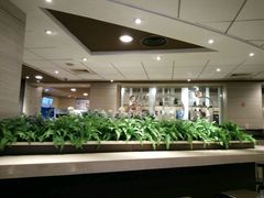 -肯德基(天津奥城店)