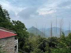 -莫干山风景区