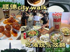 -顺峰山公园