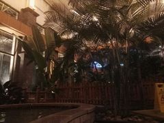 -陆地游轮吉林神农温泉