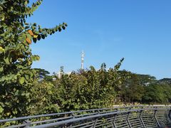 -怡海公园(桂城街道)