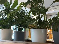 -BAKER&SPICE(祥云小镇店)