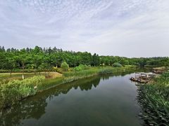 -上海长兴岛郊野公园