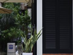 -CowCow其其·牛杂咖啡公司(六运店)