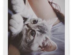 -1点点(大连路店)