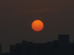 -星海汇海鲜烤肉火锅自助(二七广场百年德化店)