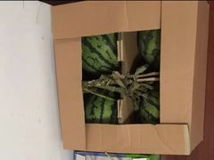 -西郊国际农产品交易中心