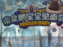 -帝企鹅自助餐厅•儿童岛•真企鹅(长隆企鹅酒店)