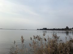 -漕湖湿地公园