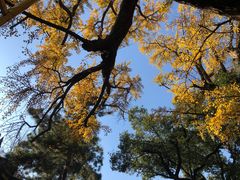 -无锡惠山寺