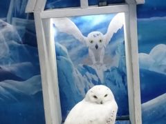 -成都浩海立方海洋公园