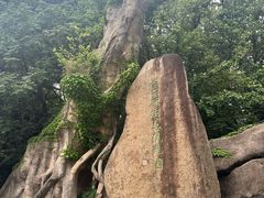 -宝岩生态观光园