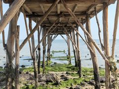 -北海金海湾红树林生态旅游区