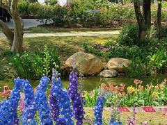 -人民公园(罗湖区)