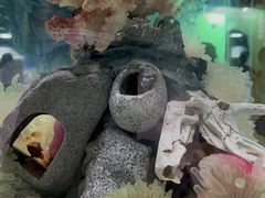 -太平洋海底世界