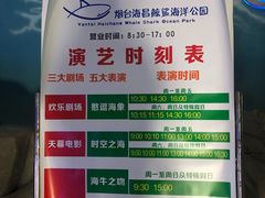 -烟台海昌鲸鲨海洋公园