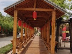 -大槐树寻根祭祖园