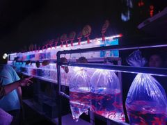 -中环花鸟鱼虫市场