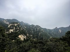 -大岭沟猕猴桃谷风景区