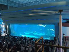 -海合安成都极地海洋公园