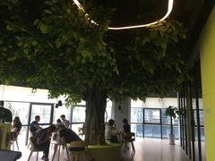 -Liking Fit 24H智能健身(旗舰店)