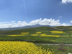 -青海湖国家重点风景名胜区