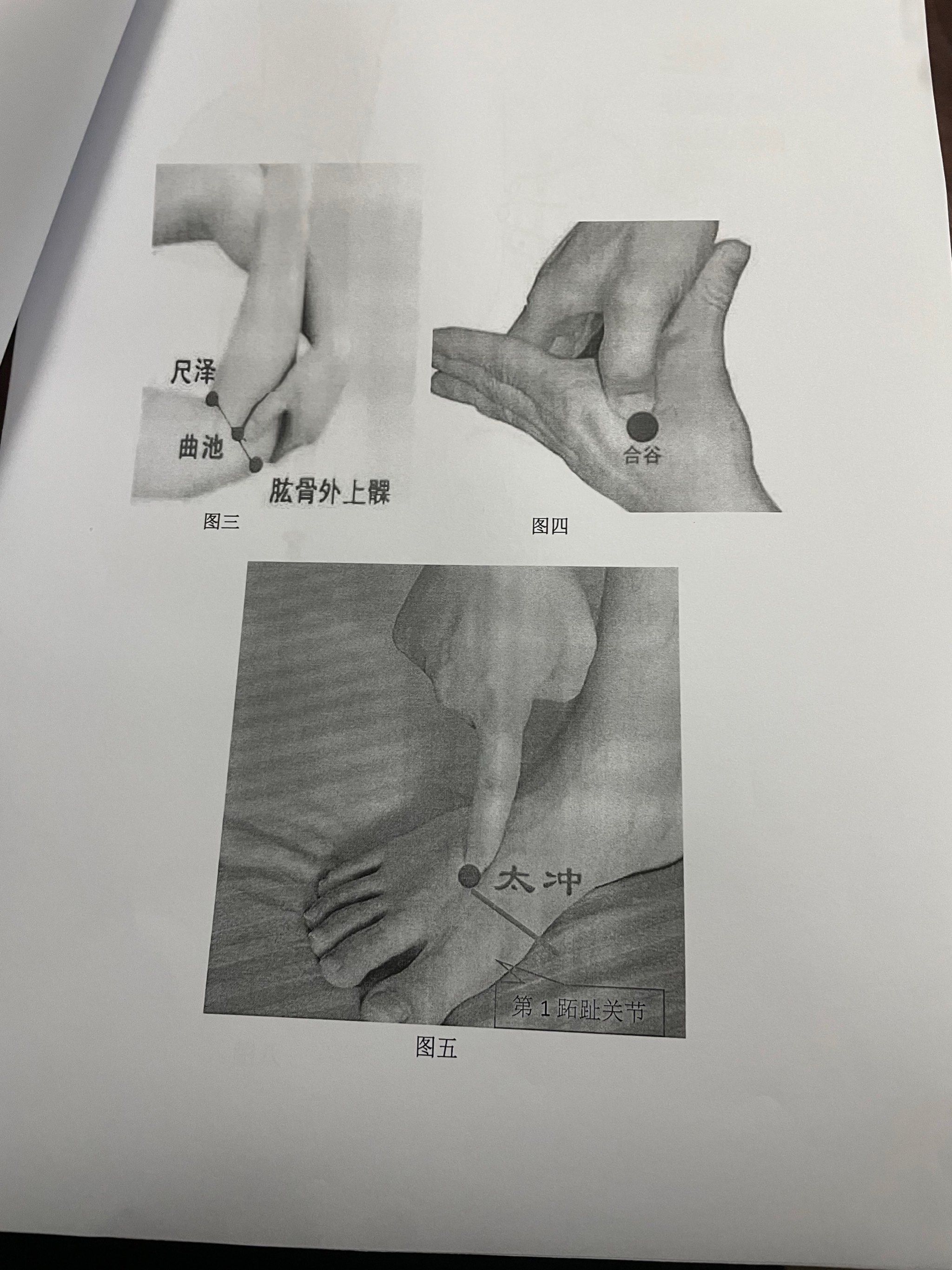 偷偷学点养养生