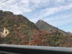 -沣峪口